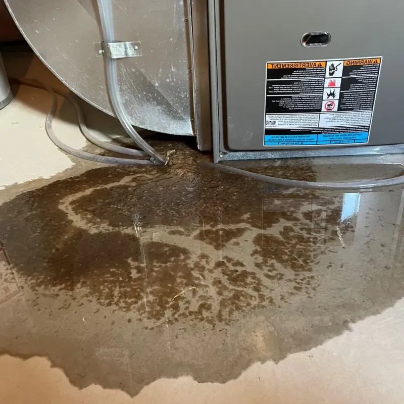 Pipe Burst and Leak Restoration in Bristow, OK
